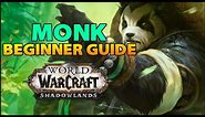 Monk Beginner Guide | Overview & Builds for ALL Specs (WoW Shadowlands)