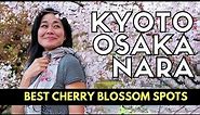 Top 10 CHERRY BLOSSOM SPOTS of KYOTO, OSAKA, NARA | SAKURA IN JAPAN