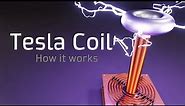 How a Tesla Coil Works ⚡ How to Make a Tesla Coil ⚡ Nikola Tesla