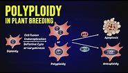 Polyploidy in Plant Breeding