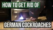 How to Get Rid of German Cockroaches (4 Simple Steps)