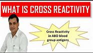 What is cross reactivity in immunology (Animation) and it's ABO blood group example