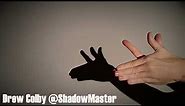 Unicorn Hand Shadow Tutorial