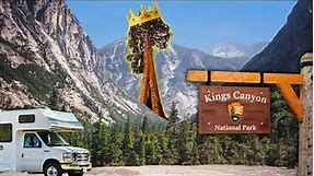 Exploring the World’s Largest Trees in Kings Canyon National Park!