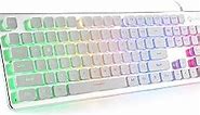 LANGTU Membrane Gaming Keyboard, Rainbow LED Backlit Quiet Keyboard for Office, USB Wired All-Metal Panel 25 Keys Anti-ghosting Computer Keyboard 104 Keys - L1 White/Silver…