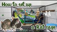 How to set up a Rat cage