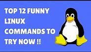 Top 12 Funny Linux Commands to Spice Up Your Terminal