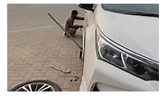 Toyota Corolla ALTIS upgrade with YOKOHAMA Tyres 🤙Contact # 03008690113 ☎️ SIZE: 205/55R16 Pattern: BluEarth Es32 💯FRESH IMPORT🆗 💯ORIGINAL PRODUCT ✅ #toyota #corollaaltis #altis #yokohama #bluearth #tyresize #tyre #jatttyre #jatttyres #jatttyresjahanian | Jatt tyres Jahania