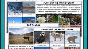 Tundra Biome - Characteristics, Animal and Plant Adaptations Montessori