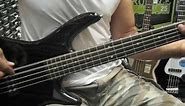 Ibanez Gio GSR105EX 5-String Bass