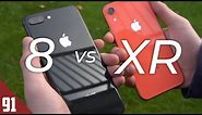 iPhone 8 vs iPhone XR - Comparison