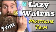 How to Trim Your [Lazy Walrus] Mustache!