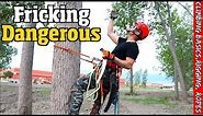 Tree work for the Beginner. How to climb, Set rigging, Spurs, Ropes & harness.