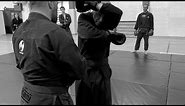 Traditional Ninjutsu stances in modern sparring - AKBAN, Yossi Sheriff