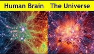 Human Brain vs The Universe!