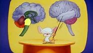 Pinky And The Brain - S01E03 [Part 3/3] [Brainstem]
