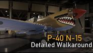 Curtiss P-40N Kittyhawk - Detailed Walkaround