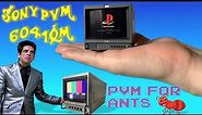Gaming on a 5” PVM 6041QM - Sony’s smallest RGB CRT Professional Video Monitor PVM 5041Q PVM 6041Q
