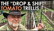 How to Trellis Tomatoes on a Single String || Black Gumbo
