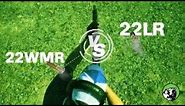 .22 Magnum vs. .22 LR: Which is Better?