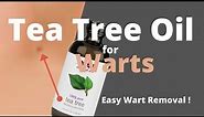 Tea Tree Oil for Warts - How to Use Tea Tree Oil to Get Rid of Warts?