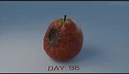 Timelapse of decaying apple (Blender Render)