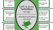 83 Funny Turtle Jokes and Turtle Puns to Print for Laughs