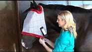 How to Choose the Best Fitting Fly Mask for Your Horse