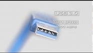 Molex - Micro USB