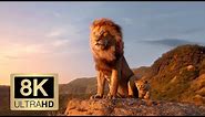 THE LION KING 8K Trailer (8K ULTRA HD 4320p)