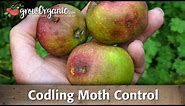 Codling moth -- How to keep the worms away organically