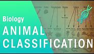 Animal Classification | Evolution | Biology | FuseSchool