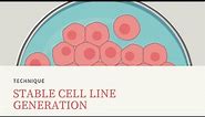 🦠 Lentiviral vector stable cell line generation