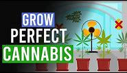 Grow the Perfect Cannabis: 10 Top Tips!