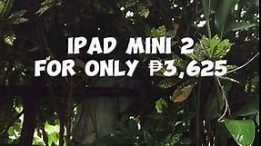 Ipad Mini 2: The Perfect Affordable Tablet for Kids