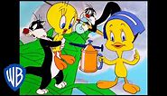 Looney Tunes | Best of Tweety Bird and Sylvester | Classic Cartoon Compilation | WB Kids