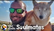 Guy Carries His Blind Dog 800 Miles To Help Get Her Confidence Back | The Dodo Soulmates