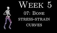 K305 Week 5 - 07: Bone stress-strain curves