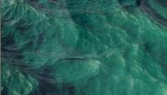 Live Wallpaper, Sea, Water. Free Stock Video