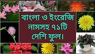 Flowers of Bangladesh-বাংলাদেশের ফুল
