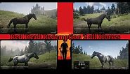 Red Dead Redemption 2 All Horses /All Horse Breeds Showcase