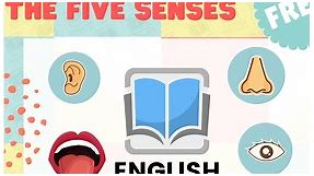 The Five Senses Worksheets - English Created Resources