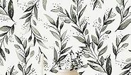 Erfoni Green Leaf Wallpaper Peel and Stick Wallpaper Floral Contact Paper 17.7inch x 118.1inch Greenery Eucalyptus Wallpaper Peel and Stick Leaves Plant Self Adhesive Wall Paper Bathroom Vinyl