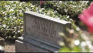 Berlin -- In the footsteps of Alexander von Humboldt | Discover Germany