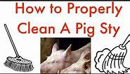 Maintaining a clean pig pen (No smell pig pen)