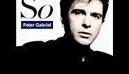 Peter Gabriel - We Do What We're Told (Milgram's 37)