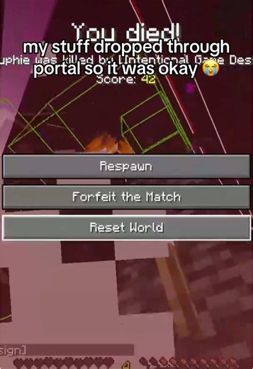 Minecraft Portal Mishap: A Speedrunner's Tale