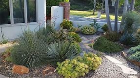 Design Ideas from an Award-Winning Succulent Garden