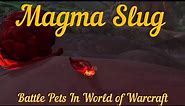 Magma Slug - Dragonflight Battle Pet - Where to find it in World of Warcraft - ep 45