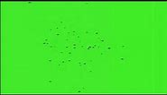 Flies Effect Video In Green Screen